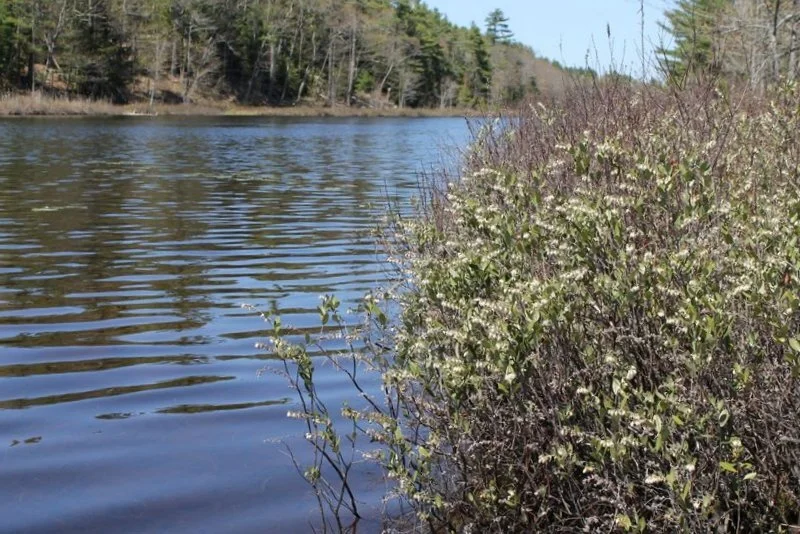 Local Natural Wonders - Day 32