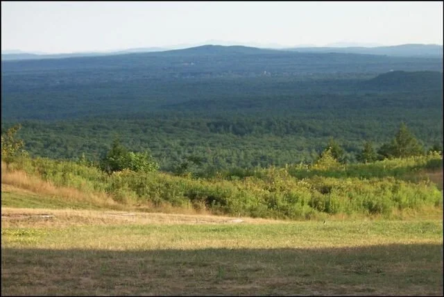 Local Natural Wonders - Day 33 