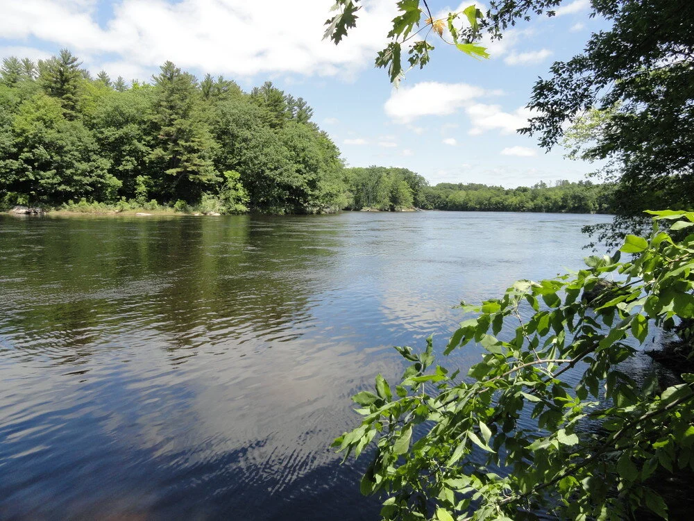 Local Natural Wonders - Day 38