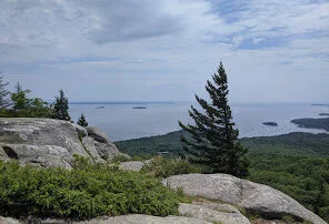 Local Natural Wonders - Day 44