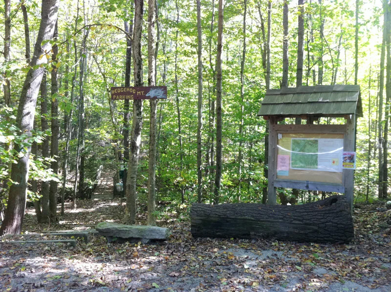 Local Natural Wonders - Day 45