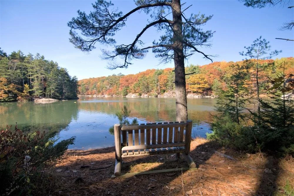 Local Natural Wonders - Day 46