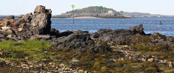 Local Natural Wonders - Day 47