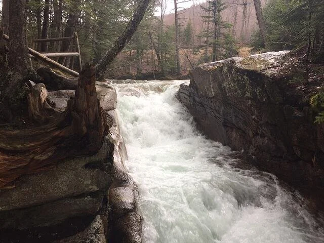 Local Natural Wonders - Day 49