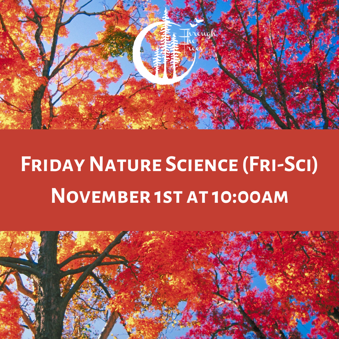 Friday Nature Science Class (Fri-Sci)