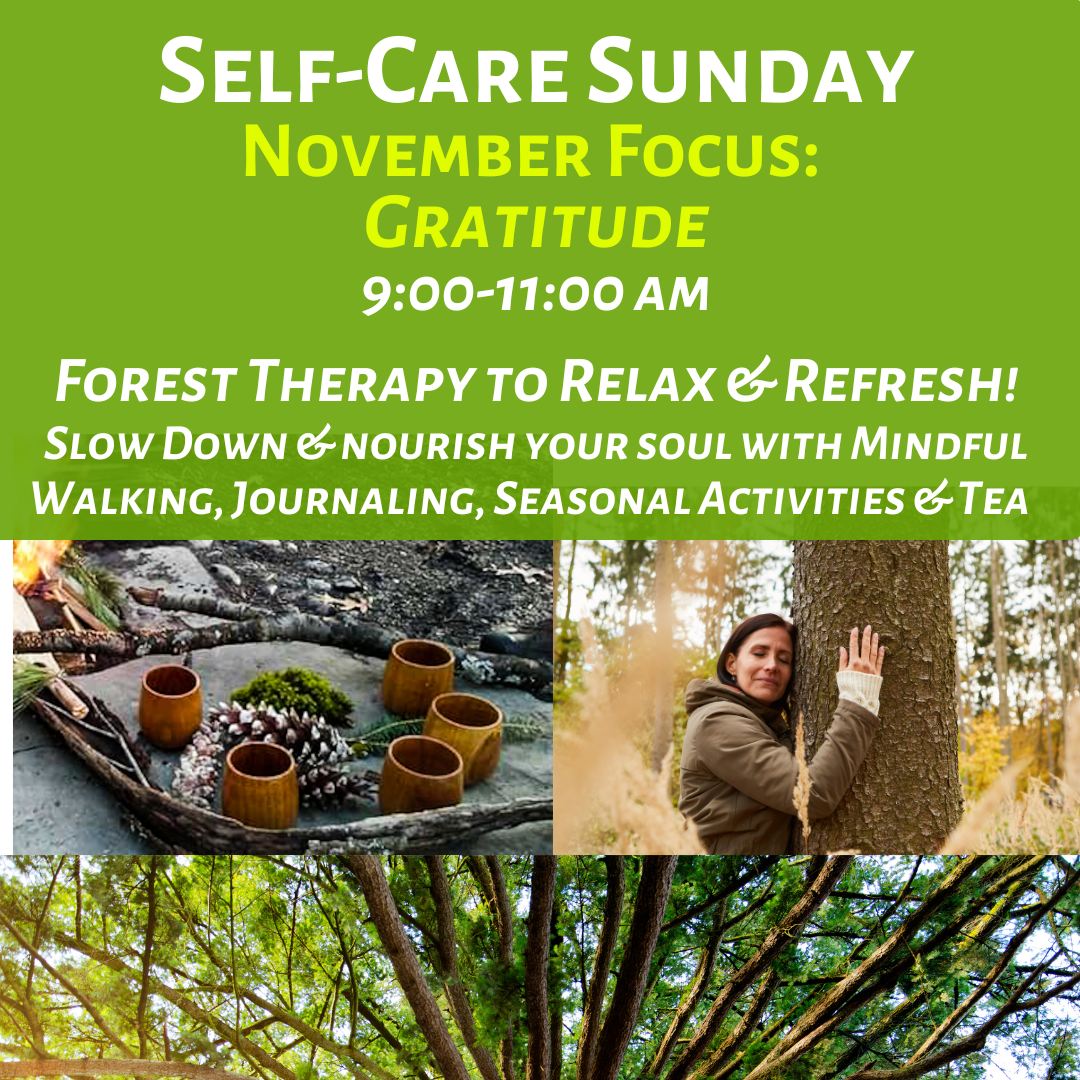 Self-Care Sunday: Forest Therapy to Relax & Refresh (GRATITUDE)