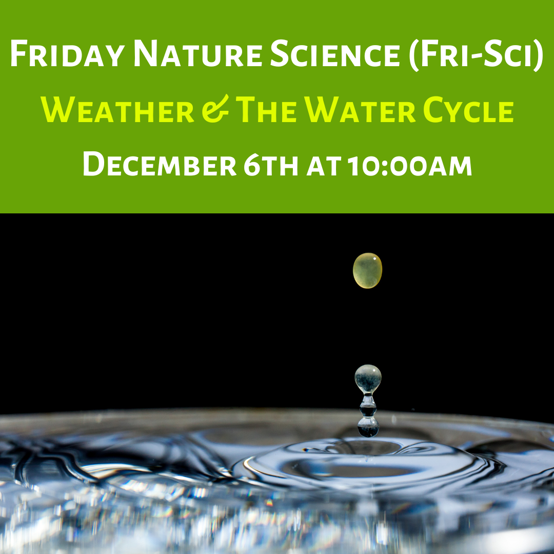 Friday Nature Science (Fri-Sci): Weather & The Water Cycle