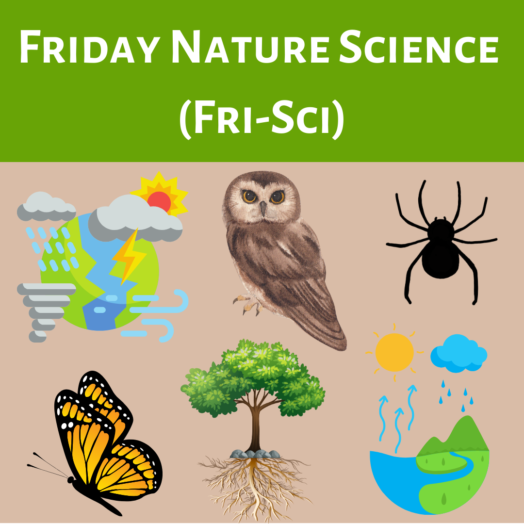 Friday Nature Science (Fri-Sci)