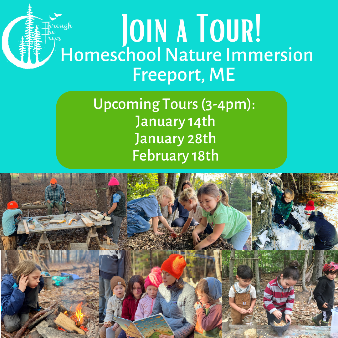 Homeschool Program Tour for Interested Families