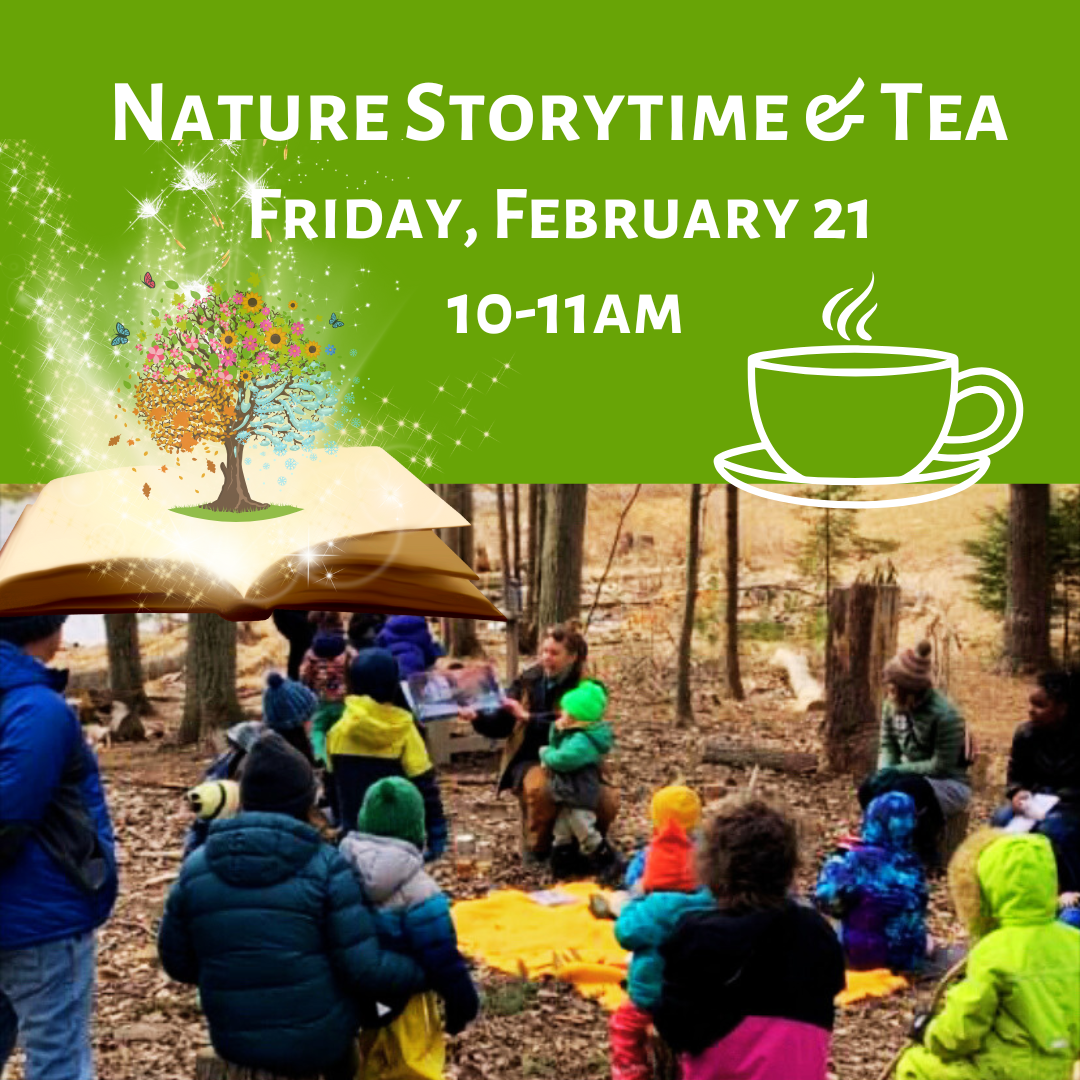 Nature Storytime and Tea