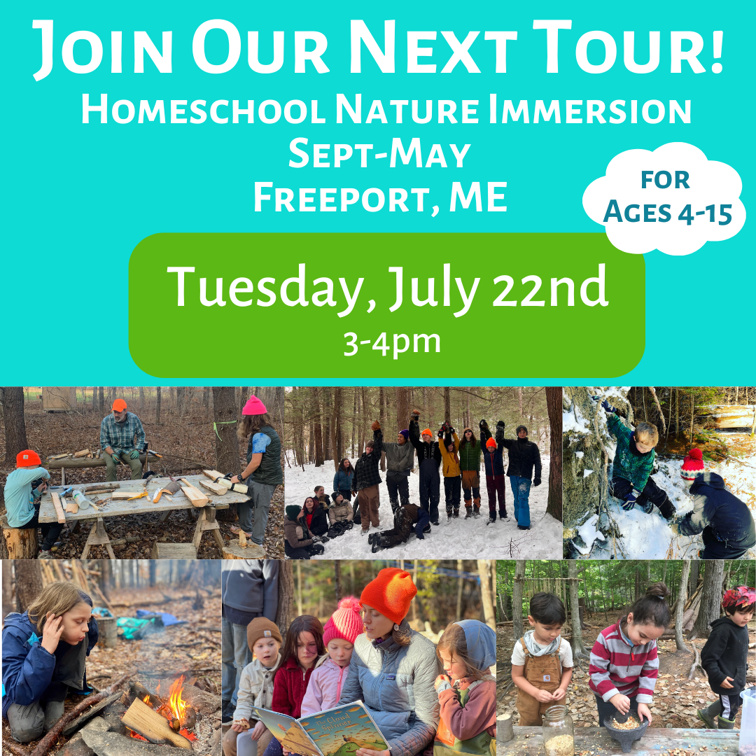 Homeschool Program Tour for Interested Families