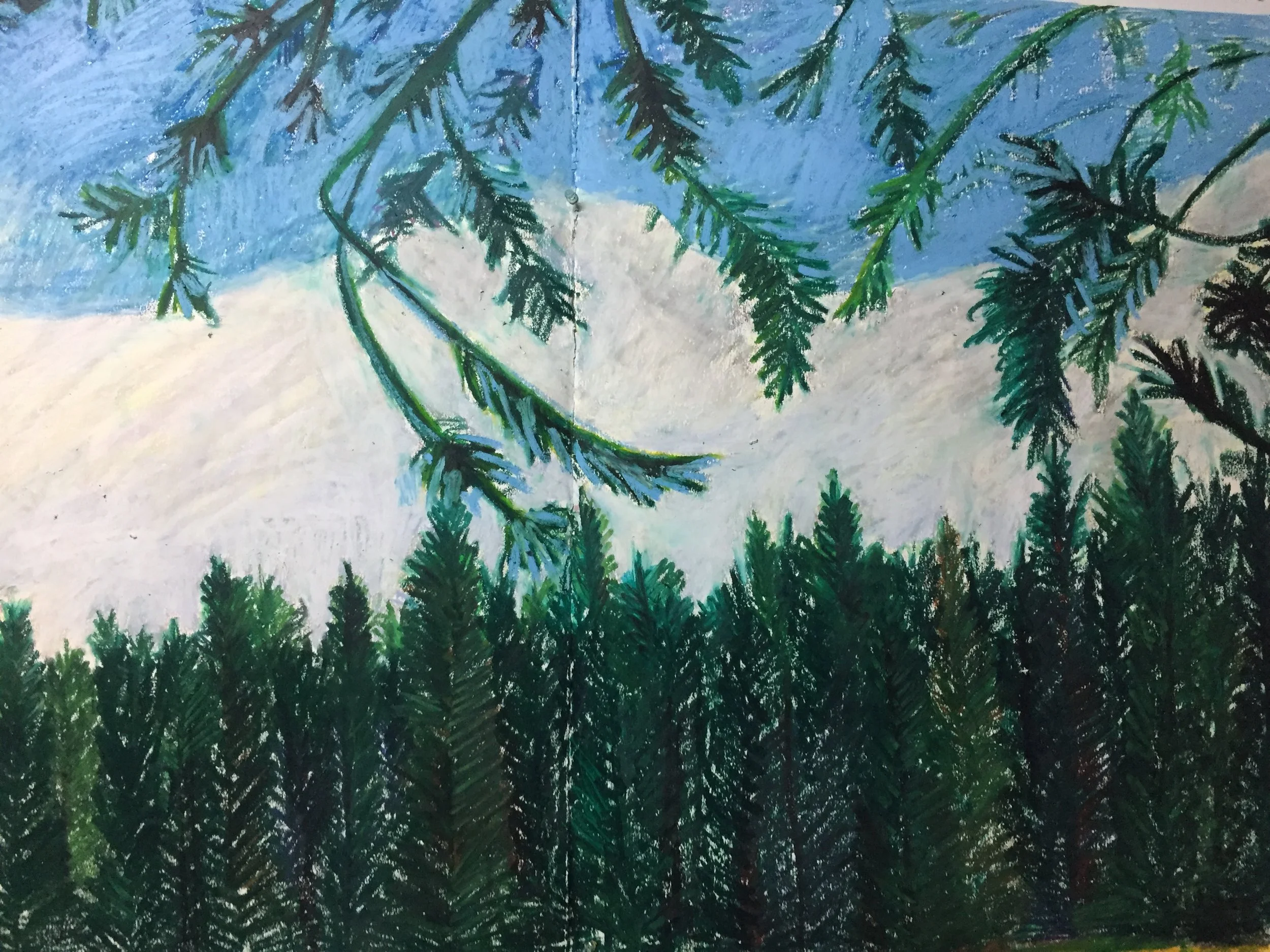 View of the Alpine Glow 2019 (detail)