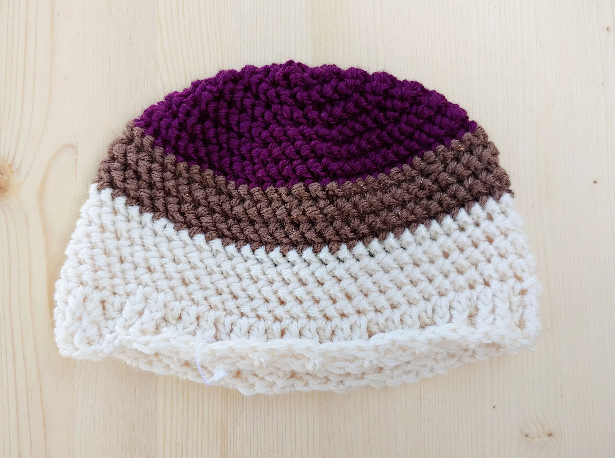 Purple shiny brown white hat (1).jpg