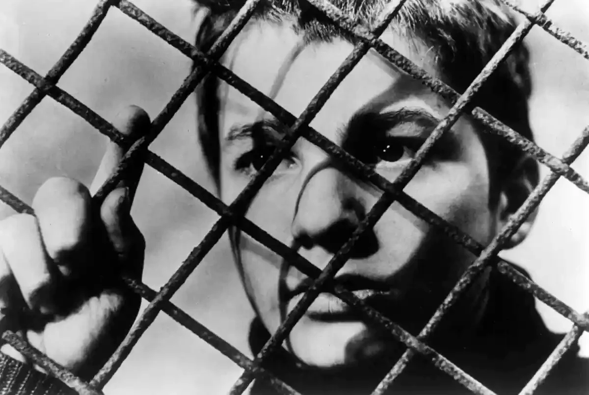 The 400 Blows (1959)