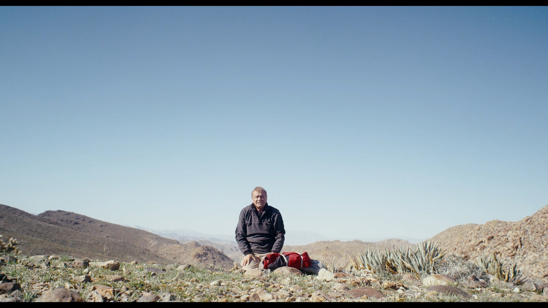 Desert Angel (2024)