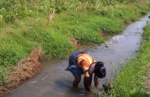 CHAP Project Recieves Boost