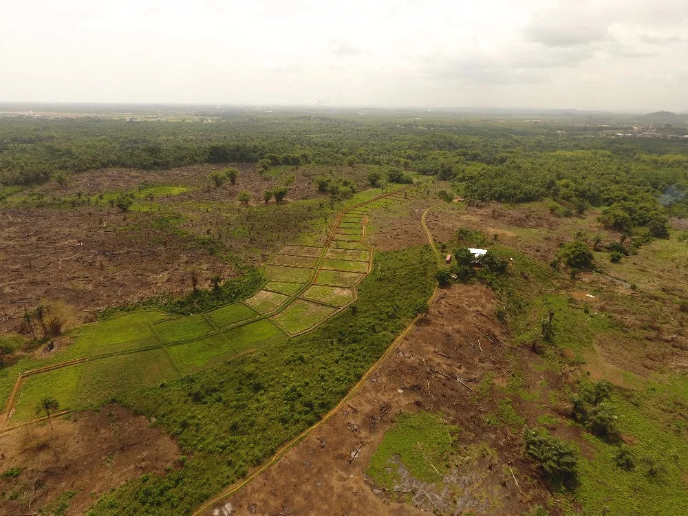 Harbel Farm Aerial View
