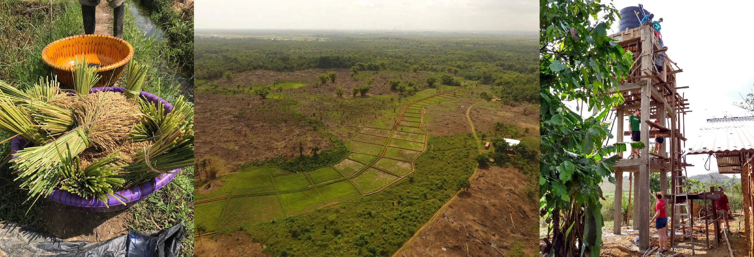 Left: Rice , Middle: Aerial View of Farm, Right: Dordt students working on well.