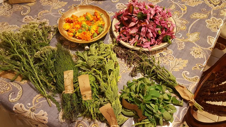 lucyherbs.jpg