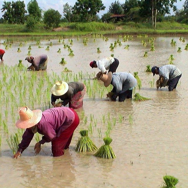 (⅓)&ldquo;Over three million people were killed.&rdquo;
__________ 
The Cambodian war lasted from 1967 to1975 when Khmer Rouge, followers of the Communist Party in Cambodia, began fighting with North Vietnam. The government leaders took people from t