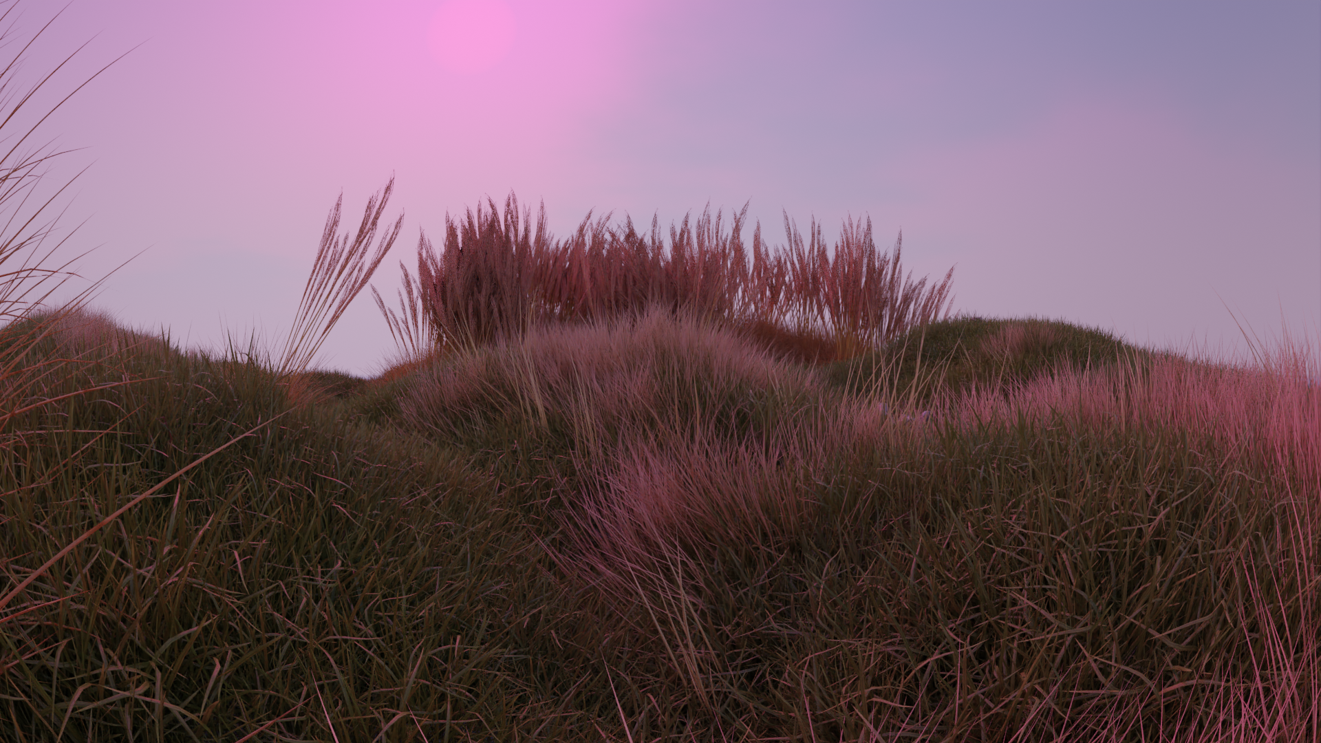 Wheat.png