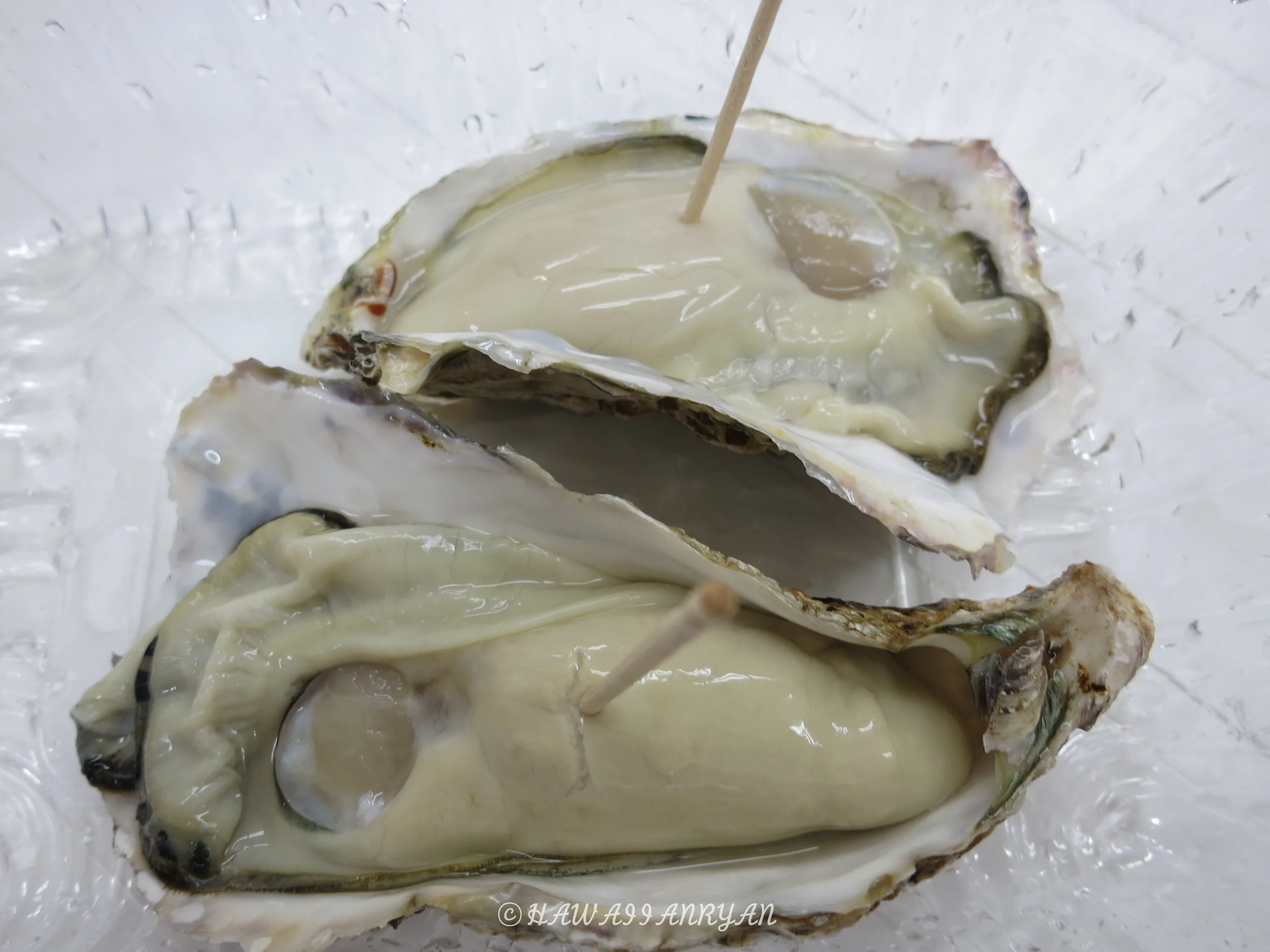 rs.japan2017-29.jpg