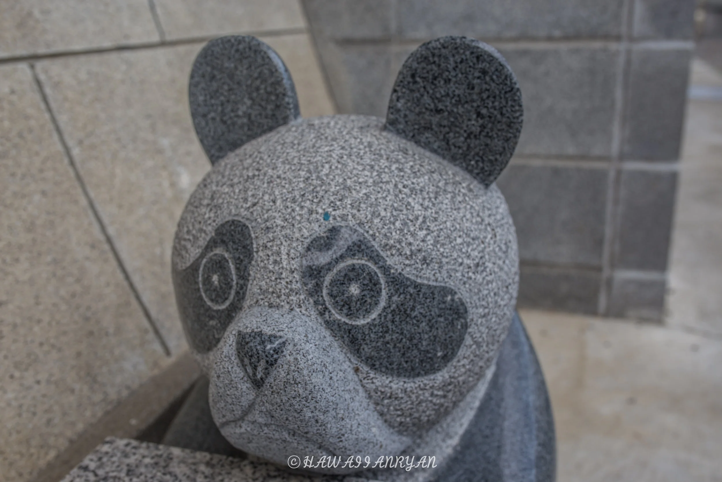 rs.japan2017-138.jpg