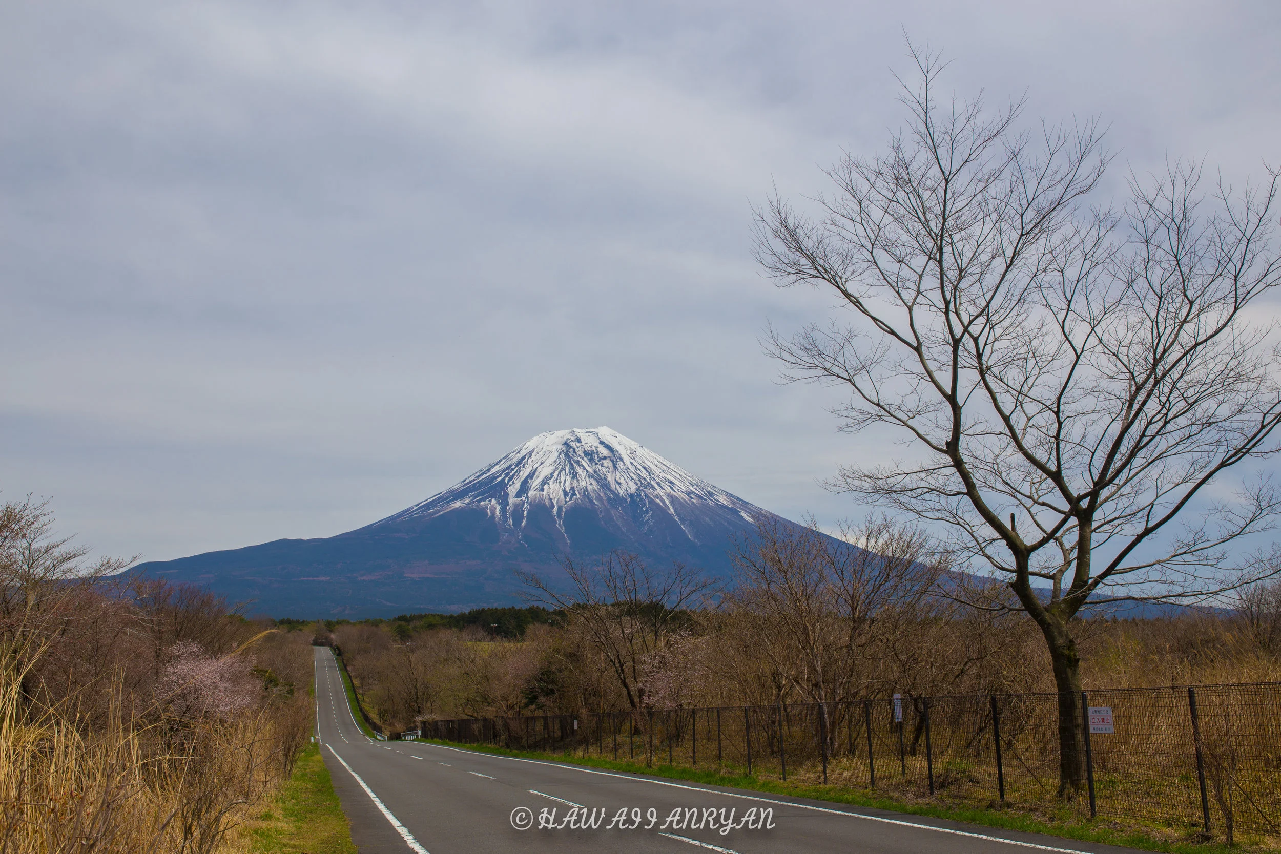 rs.japan2017-148.jpg