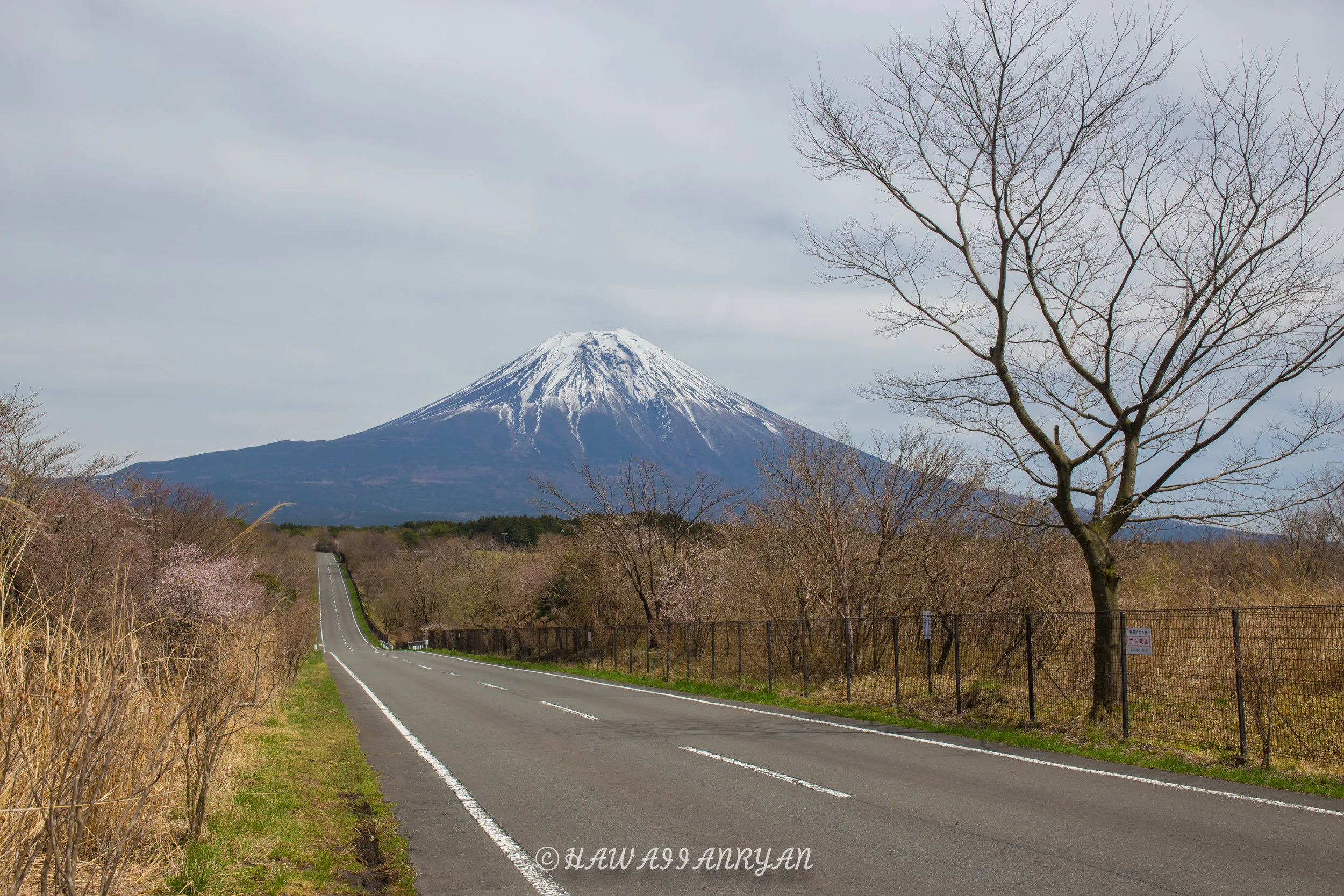 rs.japan2017-159.jpg