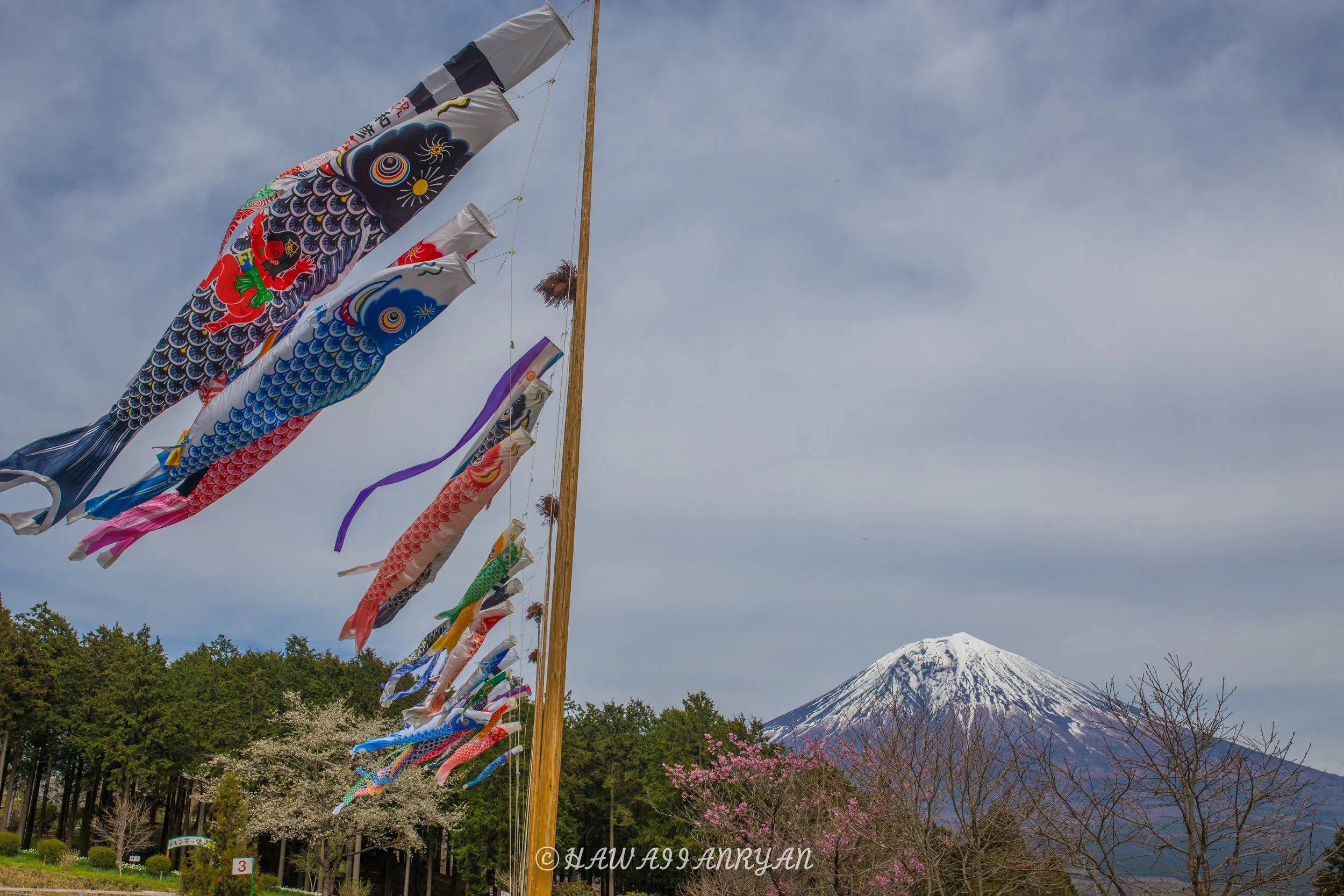 rs.japan2017-186.jpg