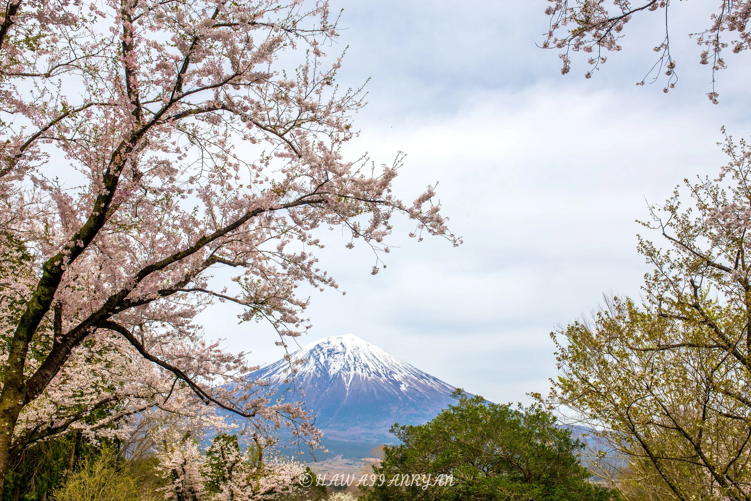 rs.japan2017-228.jpg
