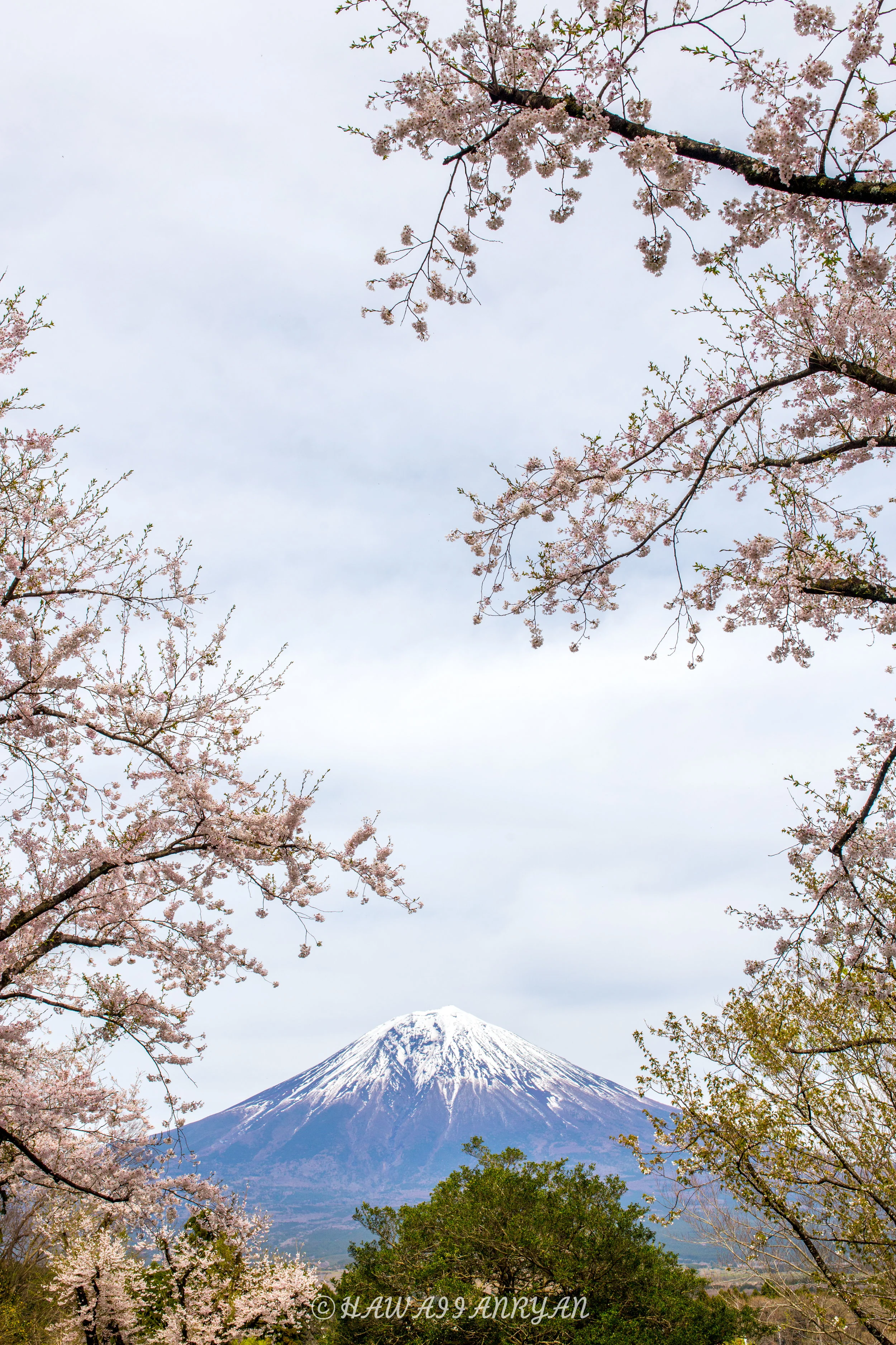 rs.japan2017-229.jpg