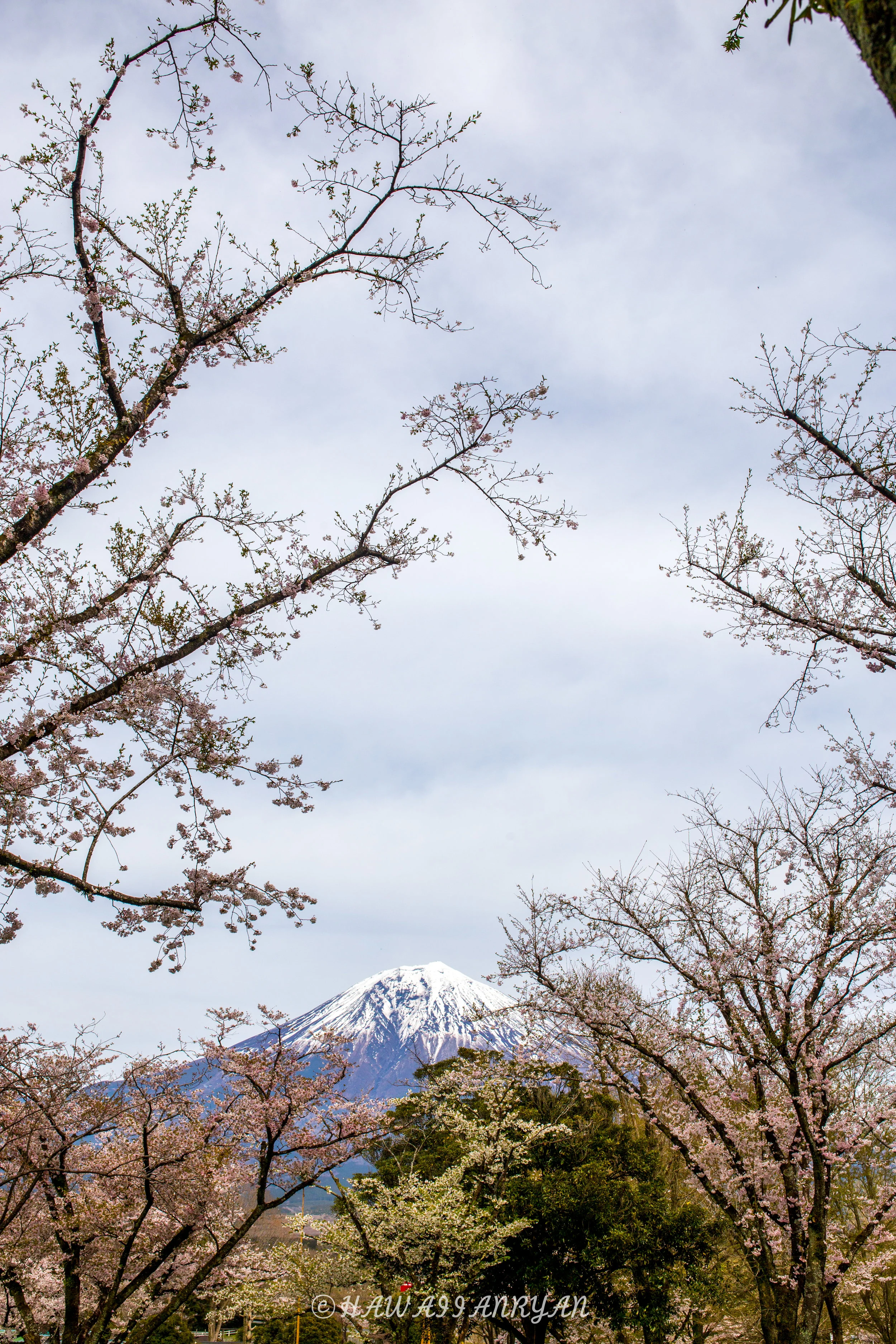 rs.japan2017-235.jpg
