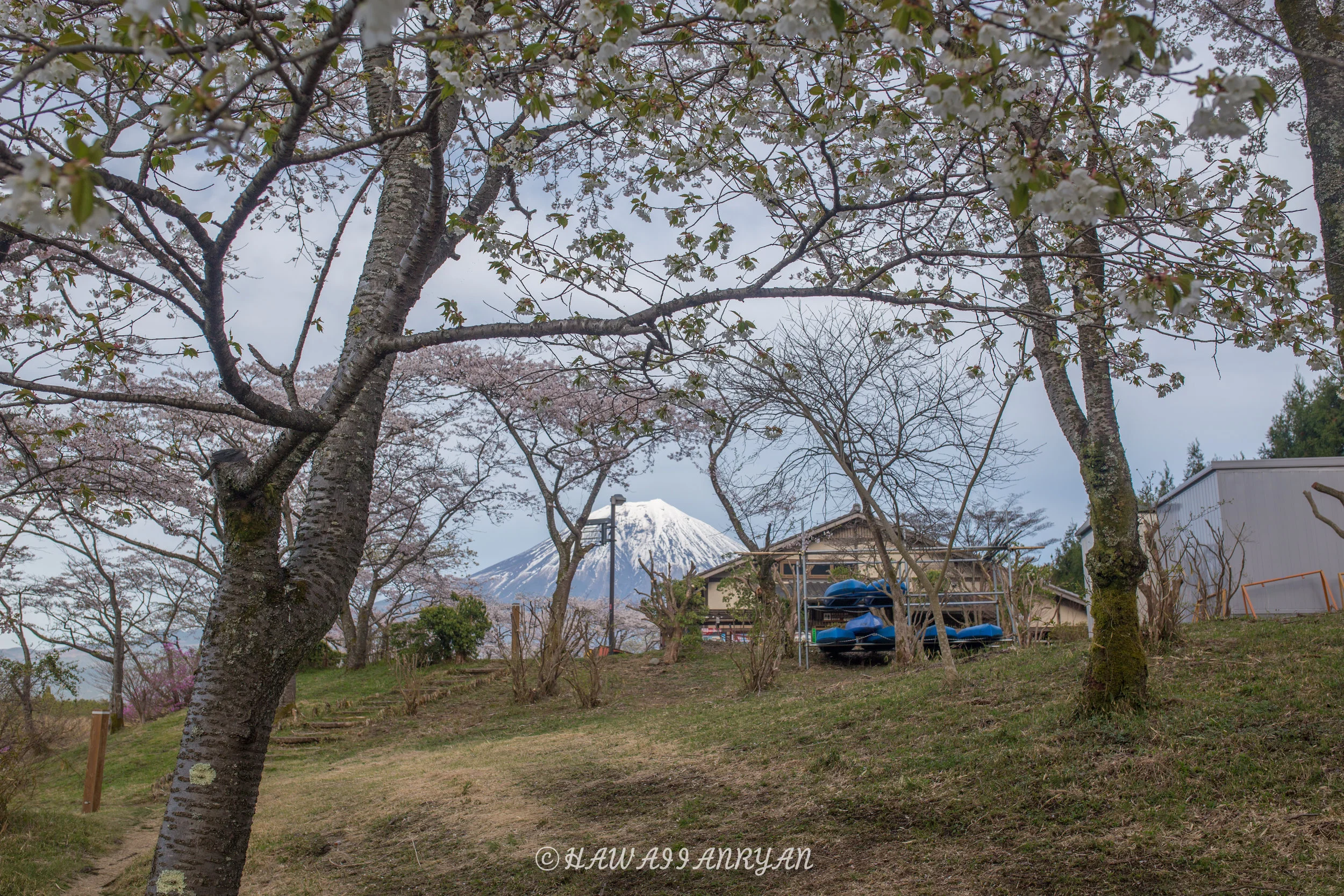 rs.japan2017-310.jpg