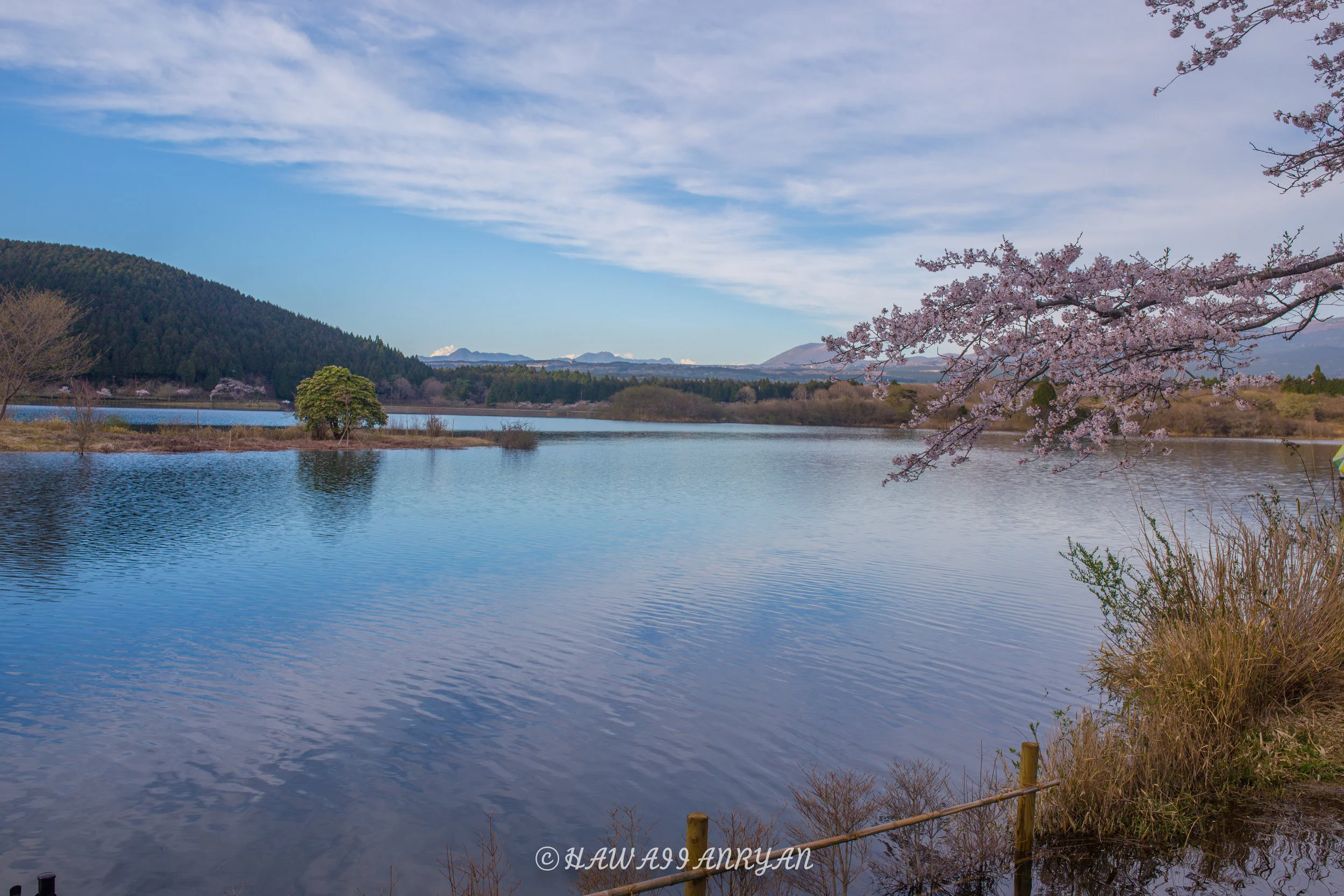 rs.japan2017-311.jpg
