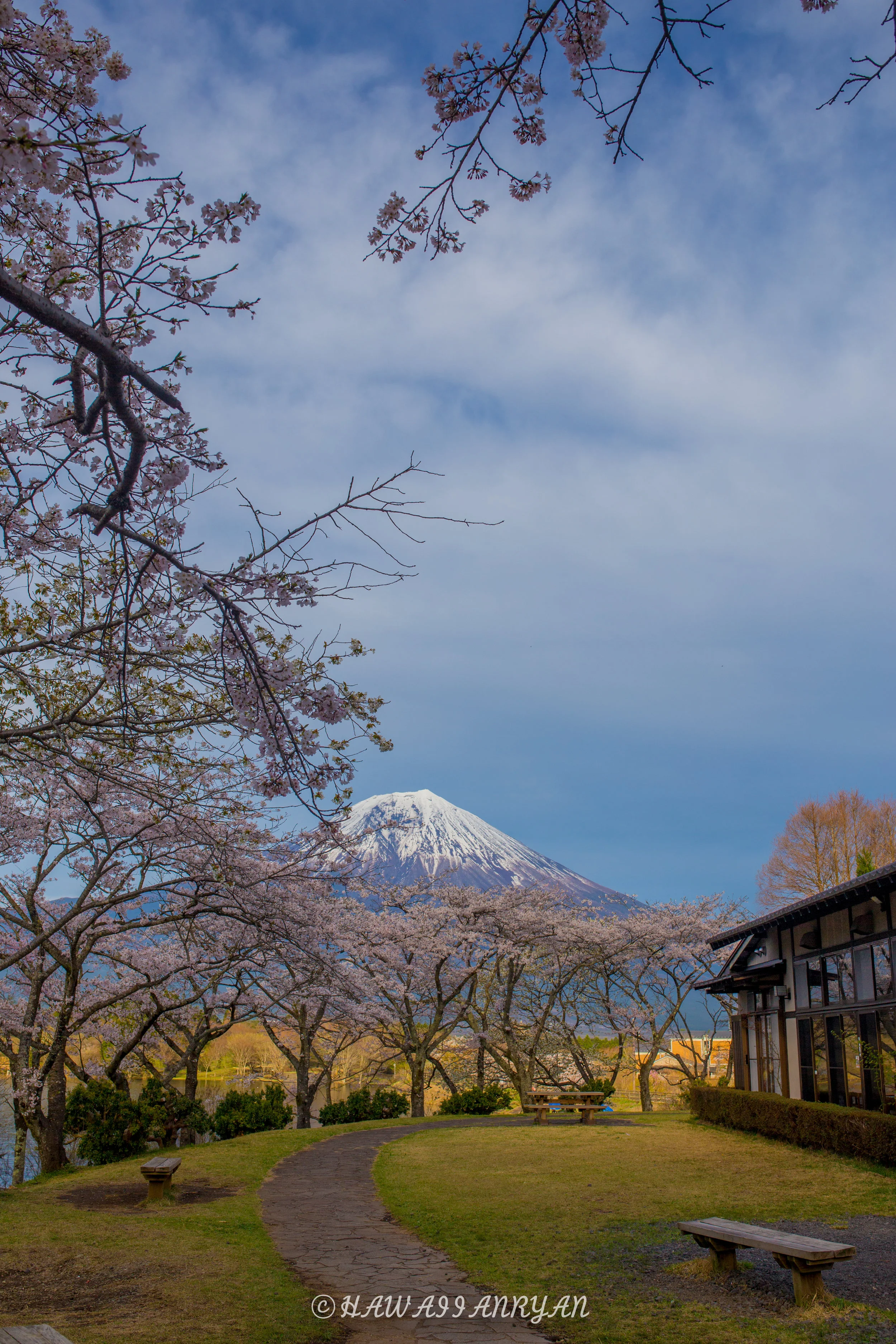 rs.japan2017-302.jpg