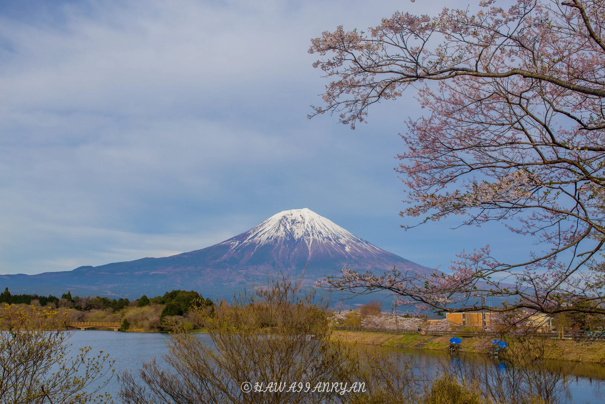 rs.japan2017-298.jpg