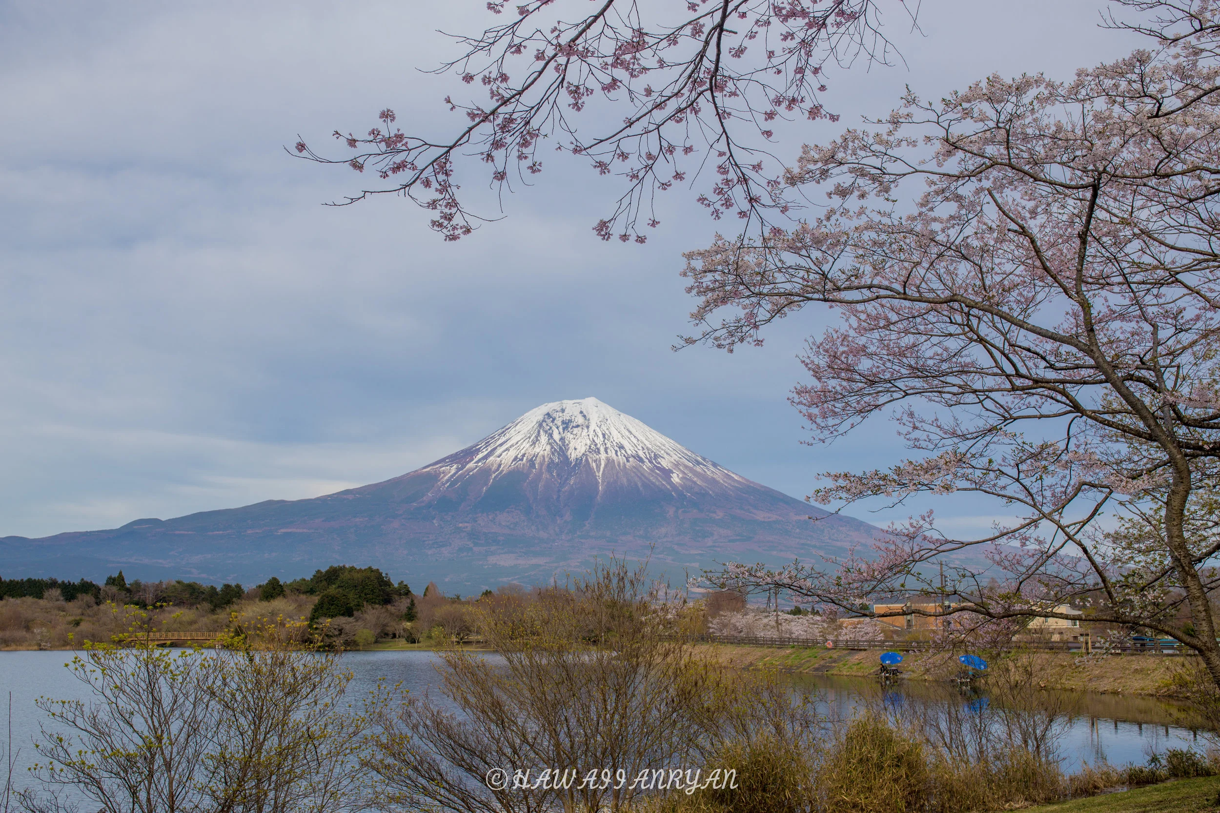 rs.japan2017-296.jpg