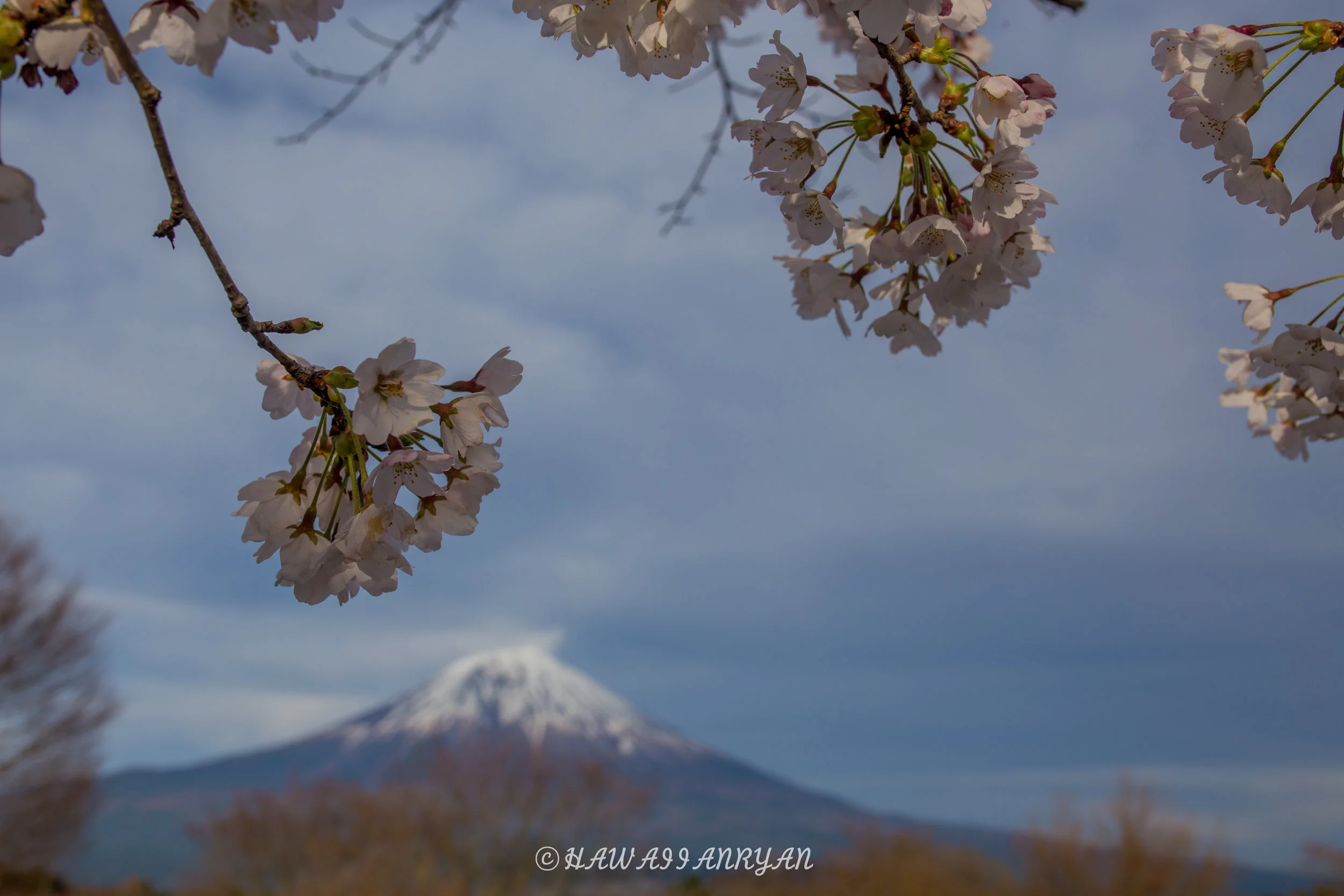 rs.japan2017-294.jpg