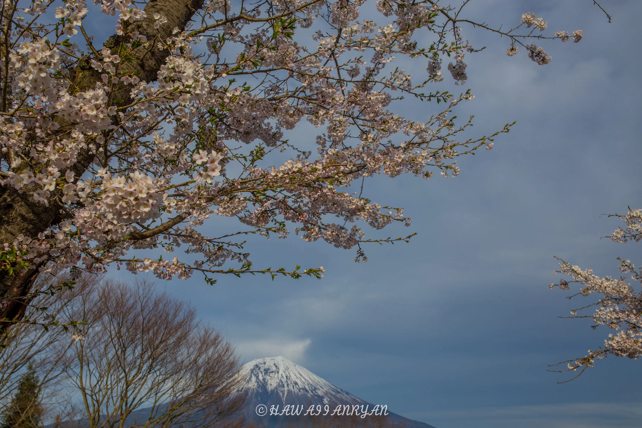 rs.japan2017-290.jpg