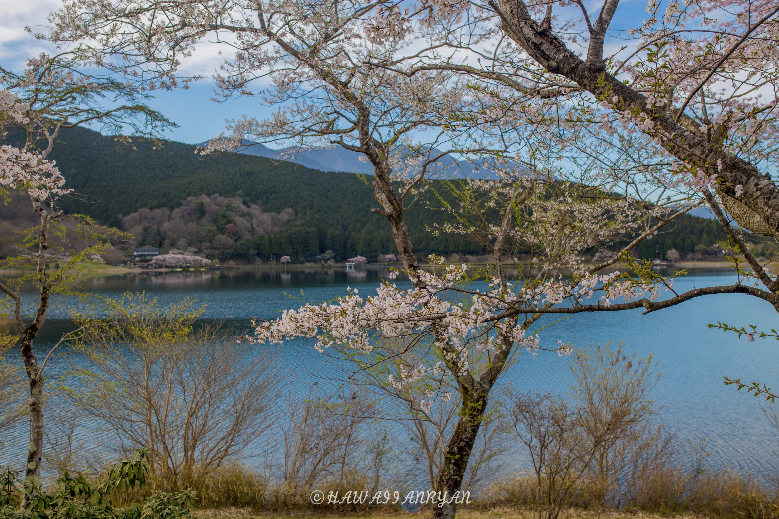 rs.japan2017-295.jpg