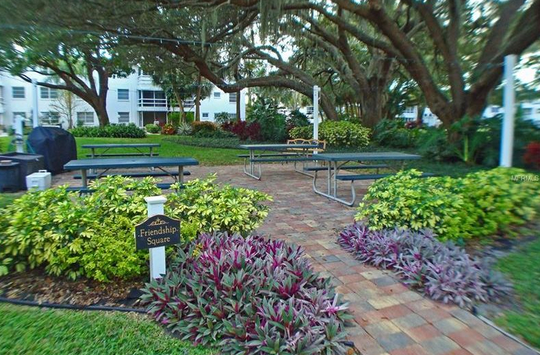 4th Bayshore garden copy.jpg