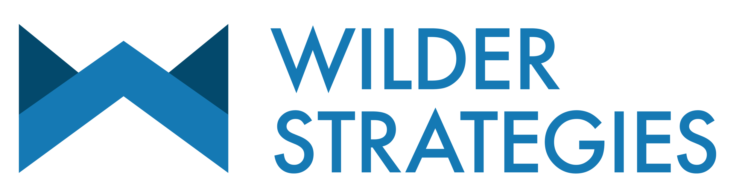 WS Logo.png