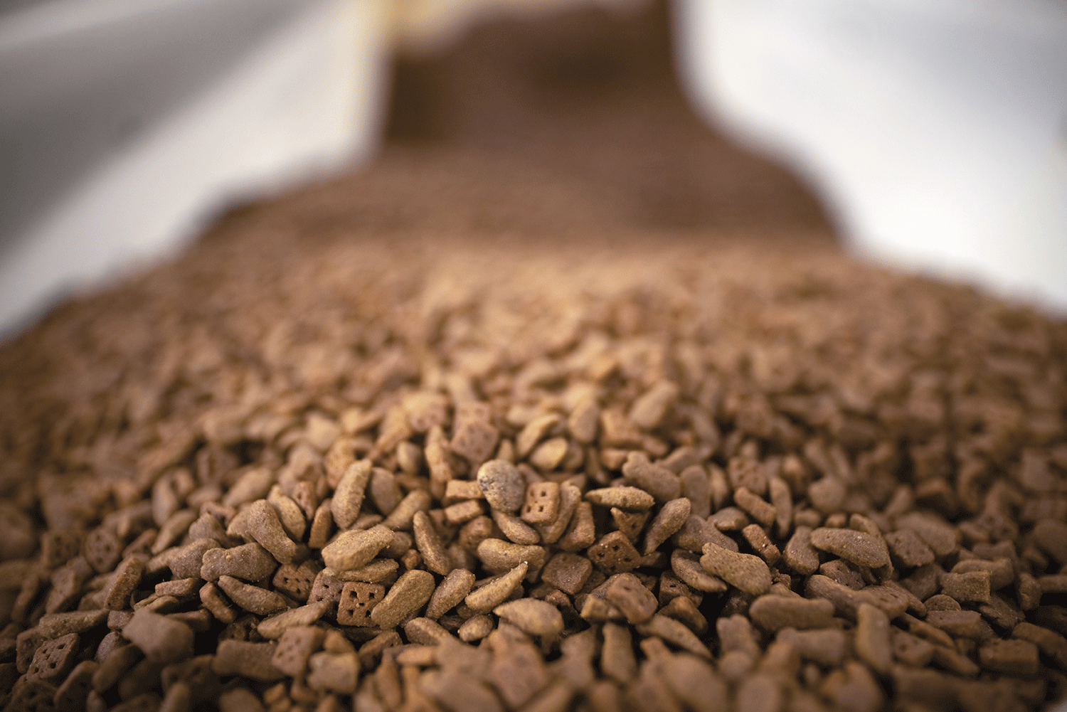 PB4500_ClintonPlant_7605_CK18_CMYK.png