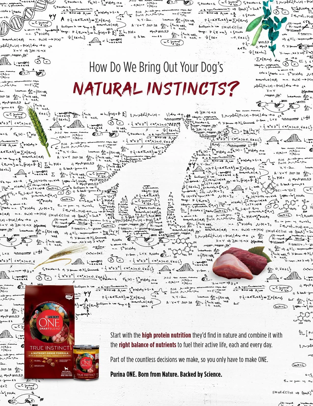 PurinaOne_Decisions_Print-01.jpg