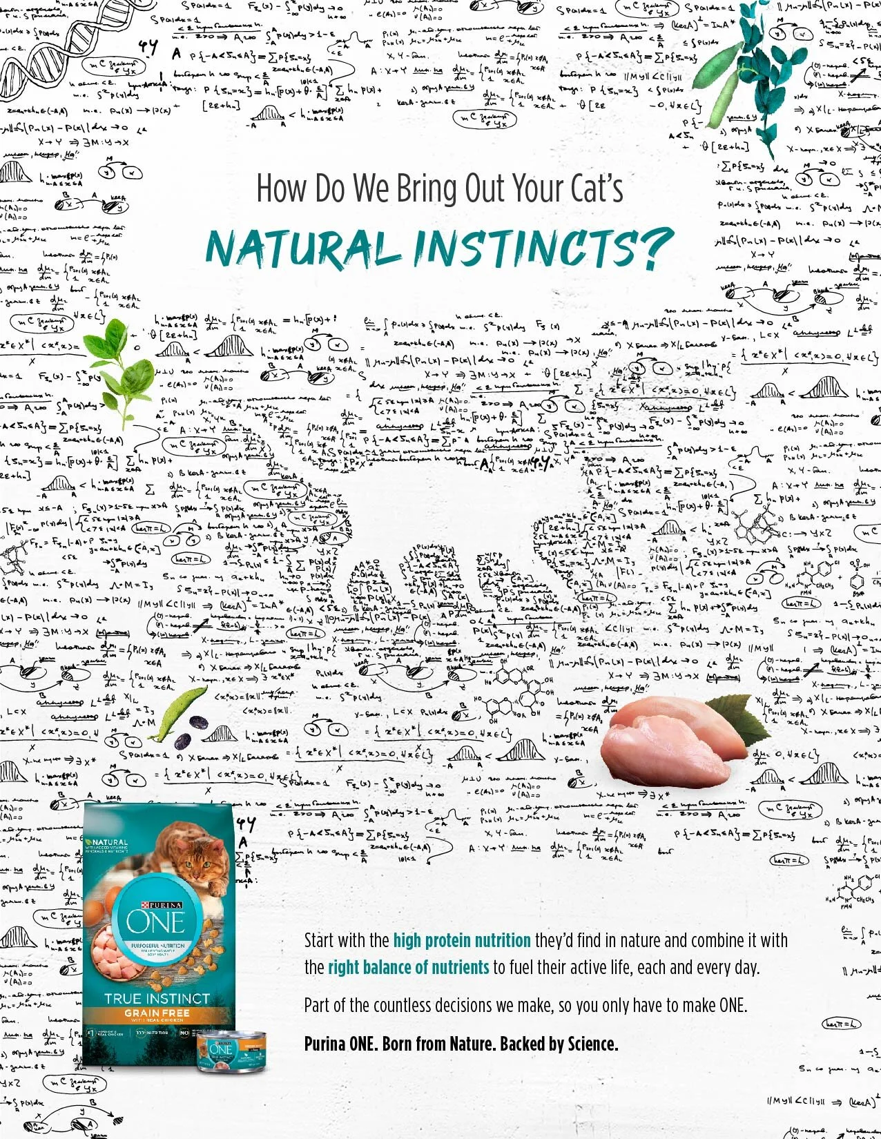 PurinaOne_Decisions_Print-02.jpg