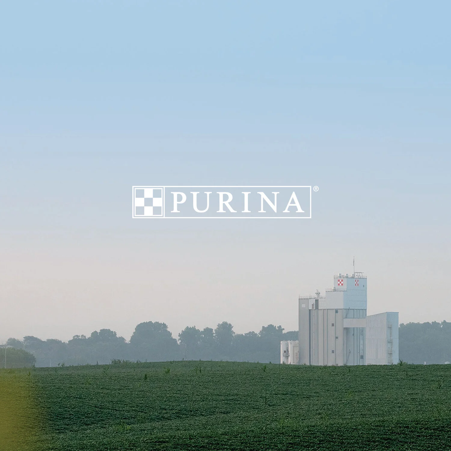 Purina_BTB.jpg