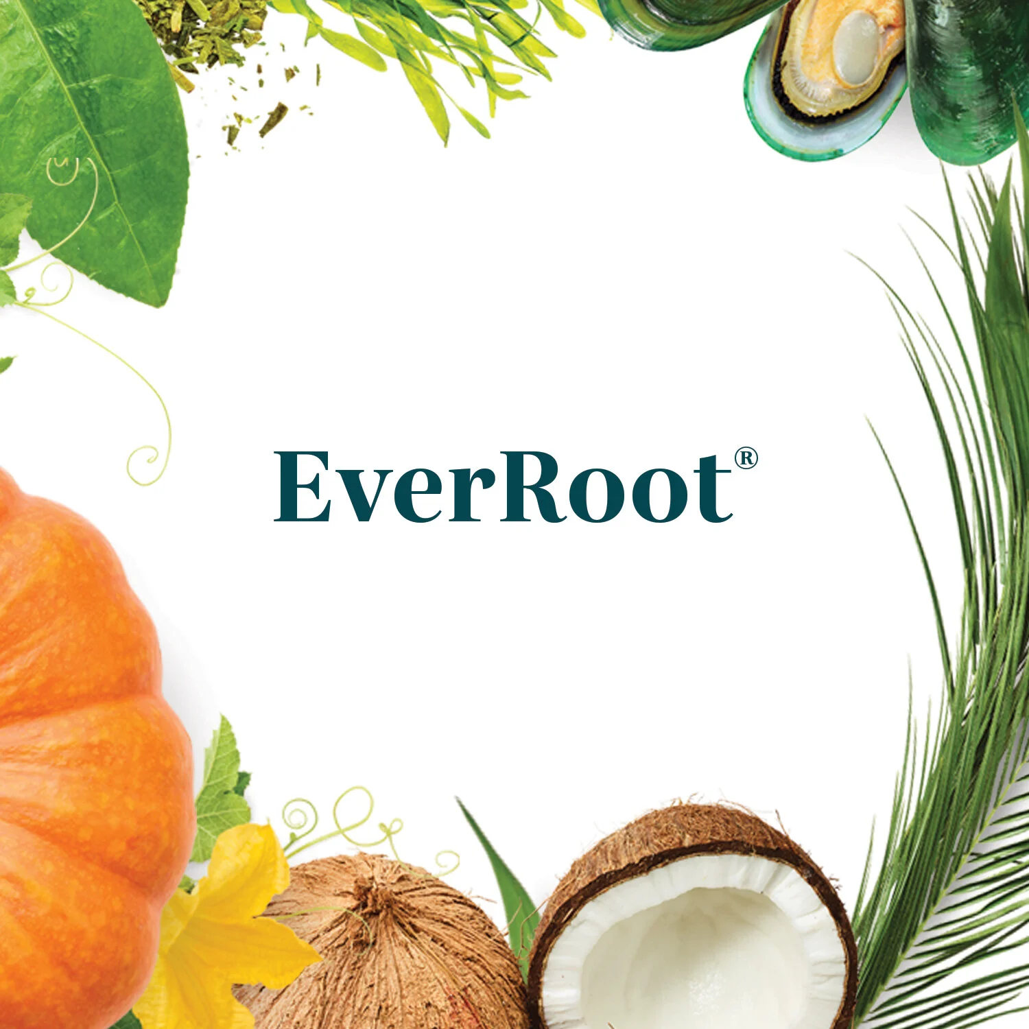 EverRoot.jpg