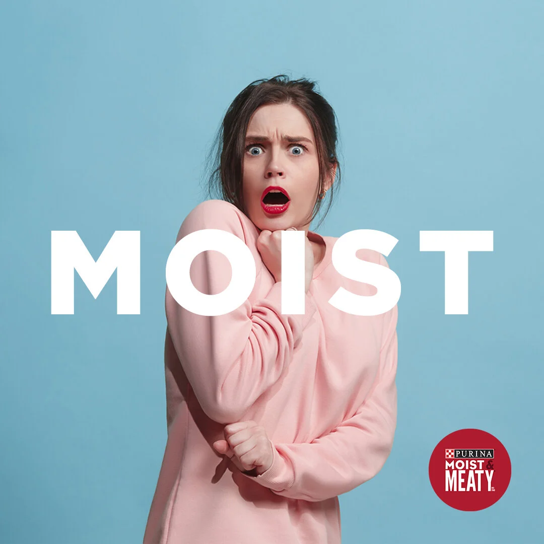 MoistN'Meaty.jpg