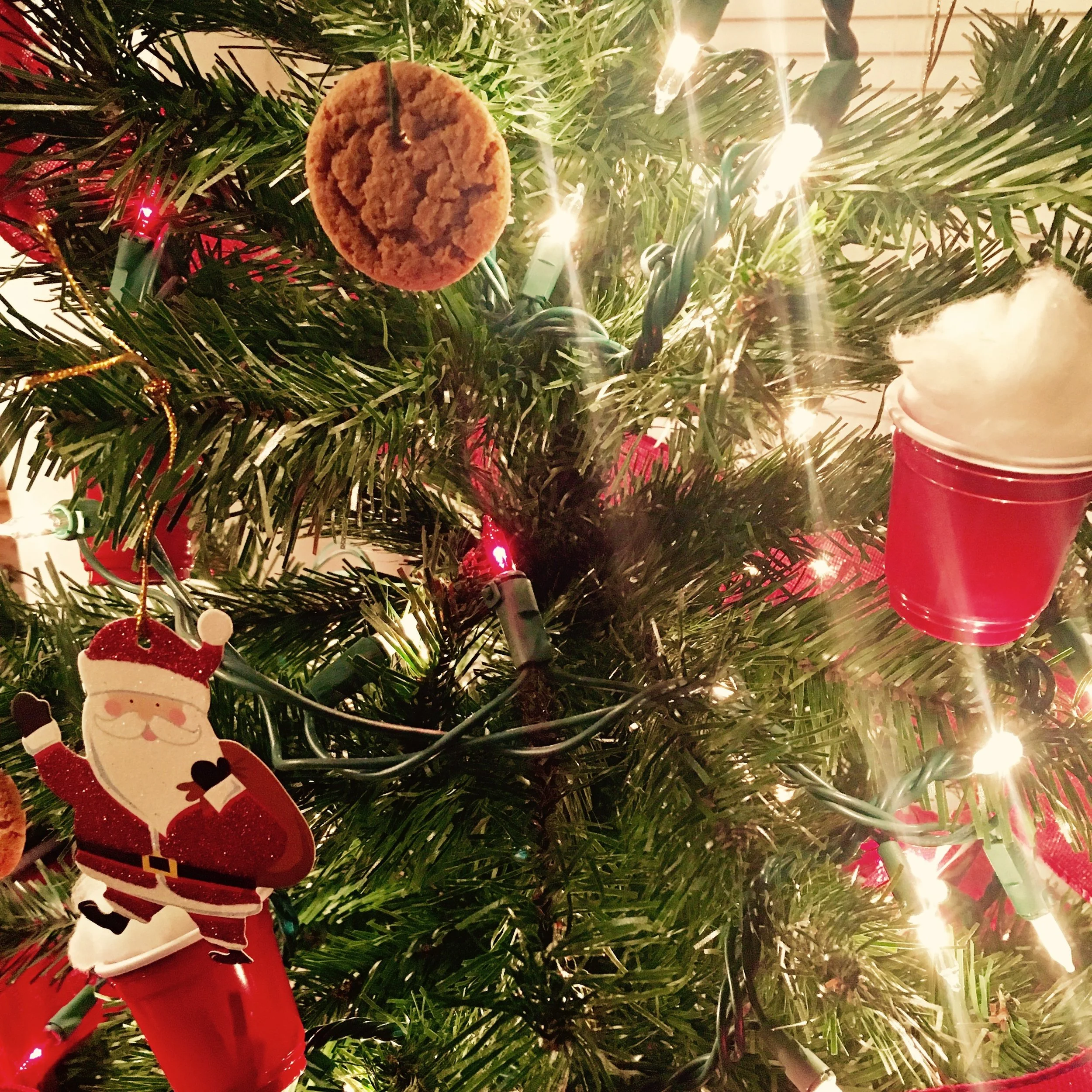 Tree 13.jpg
